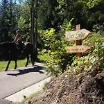 La Lince Chalé *