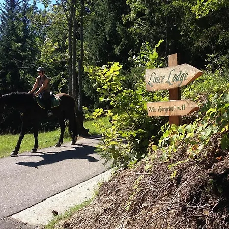 La Lince Alpesi faház *