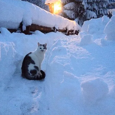 Domek alpejski La Lince