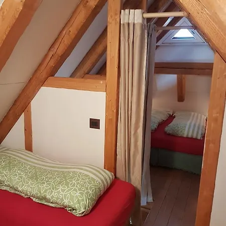 La Lince Domek alpejski *