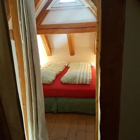 La Lince Domek alpejski Camporosso (Tarvisio)