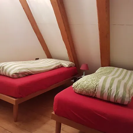 La Lince Domek alpejski