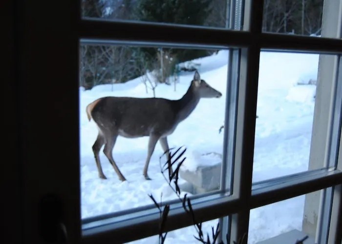 La Lince Camporosso (Tarvisio)